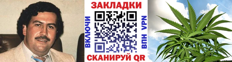 Купить наркотики сайты Армавир КОКАИН  Мефедрон  A PVP  Псилоцибиновые грибы  ГАШ  Конопля 