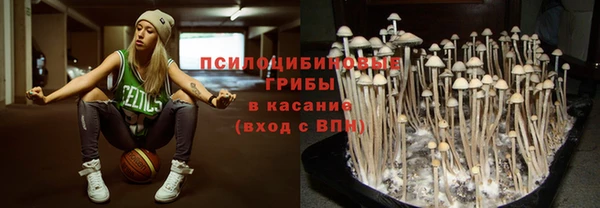 крисы Богданович