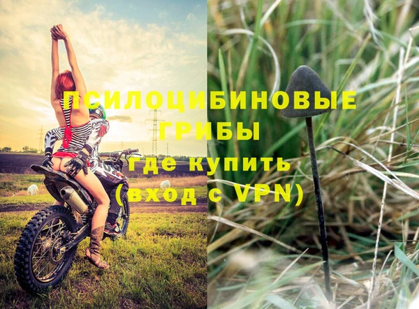 бутират Богородицк