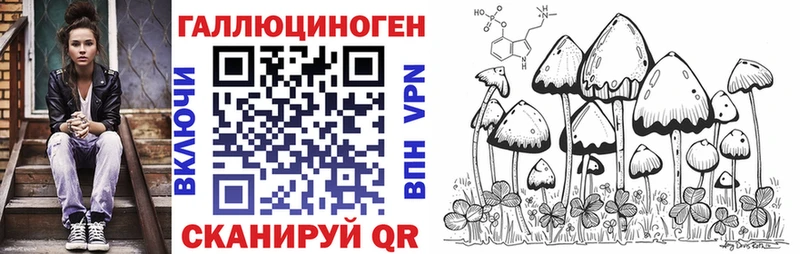 kraken ССЫЛКА Армавир Псилоцибиновые грибы Psilocybe